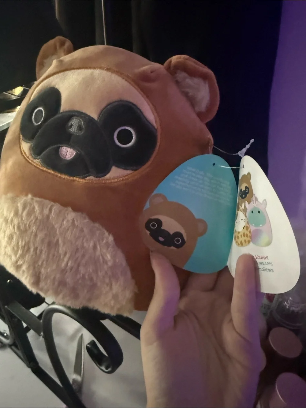Squishmallows Brown and Cream Pug Plush Dolly